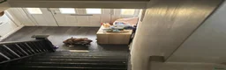 Mixed Breed dogs for sale: Woody  - Advert 14