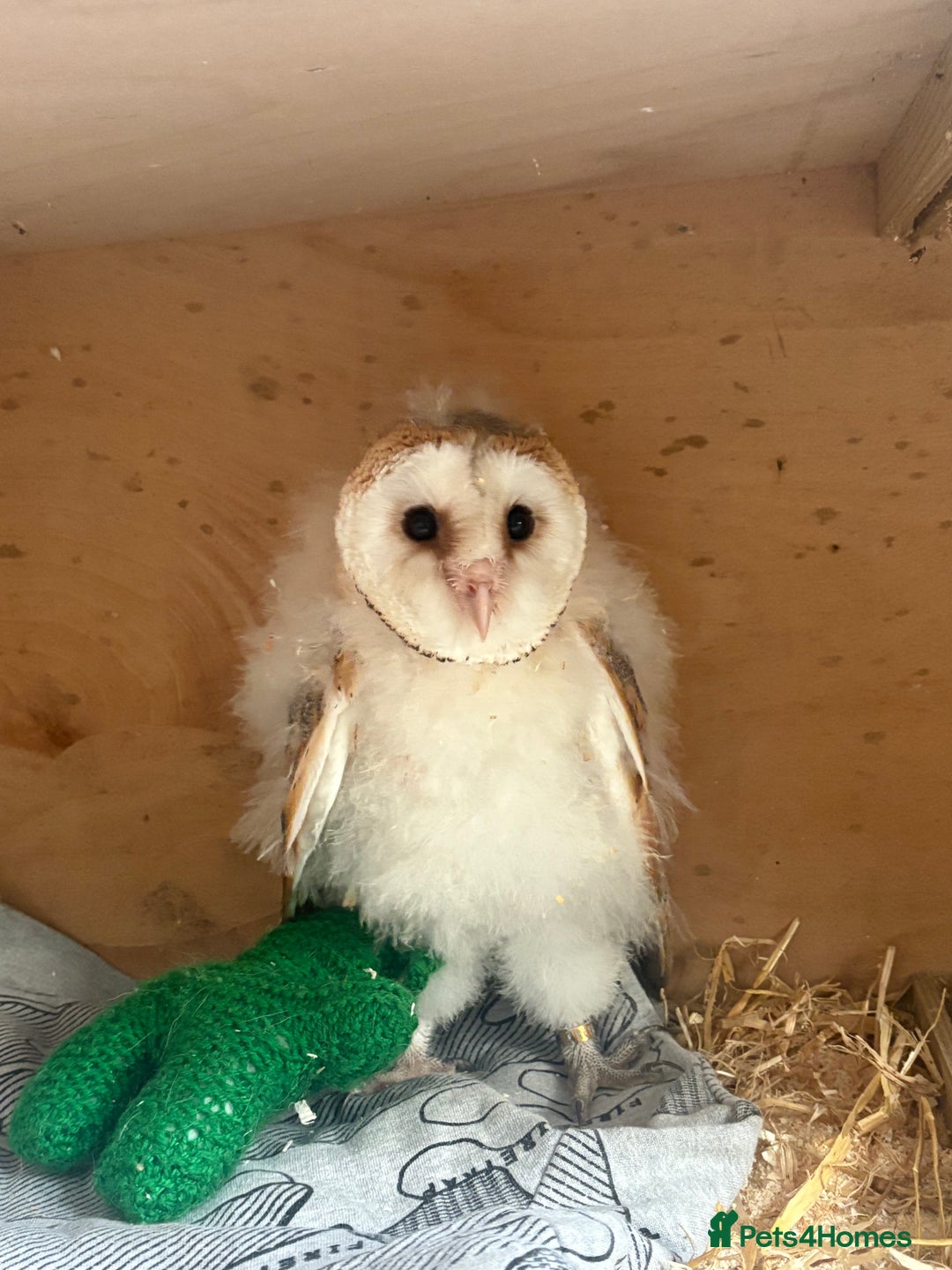 Gallery Image {{count}}