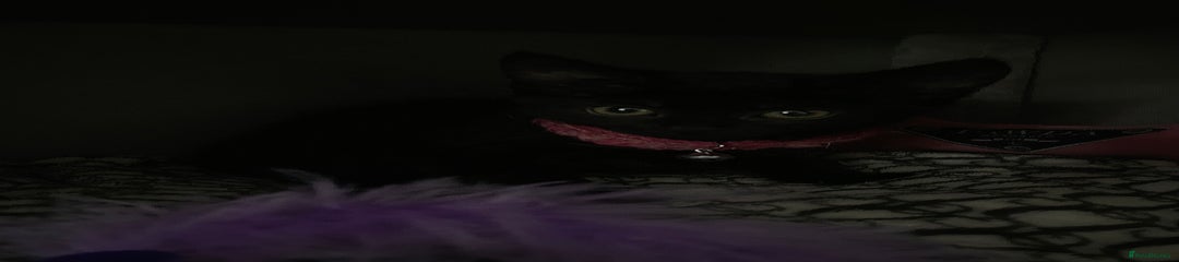 Mixed Breed Kitten 2