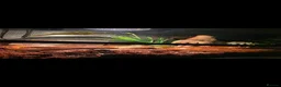 Corn Snake reptiles for sale: Female Corn snake with viv + extras in South Shields - Advert 2
