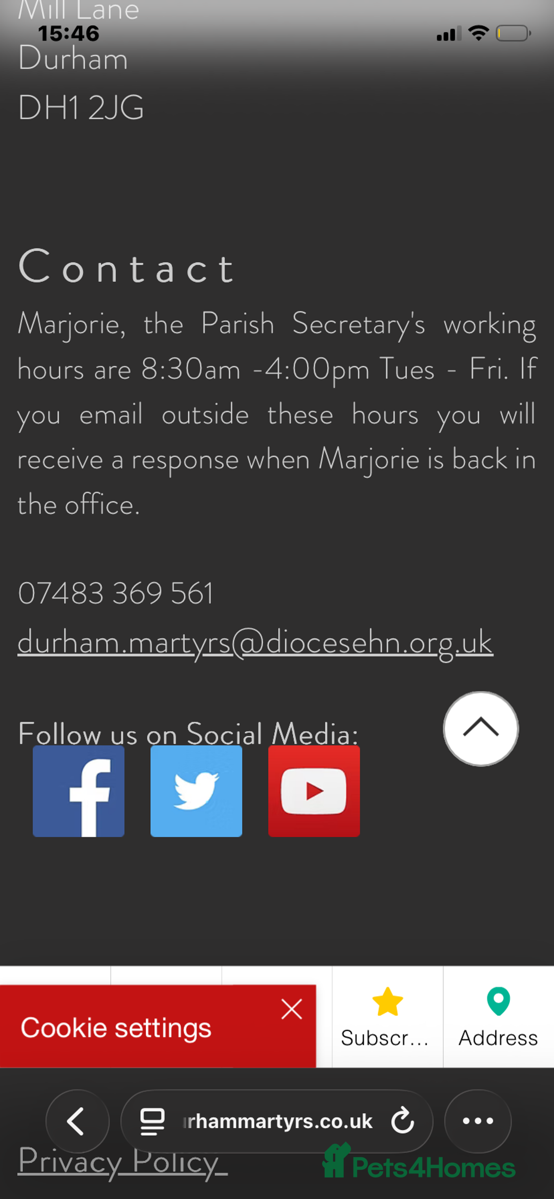 Cavapoo dogs for sale: Cavapoo puppy ready 21st October 1 girl left  - Advert 23