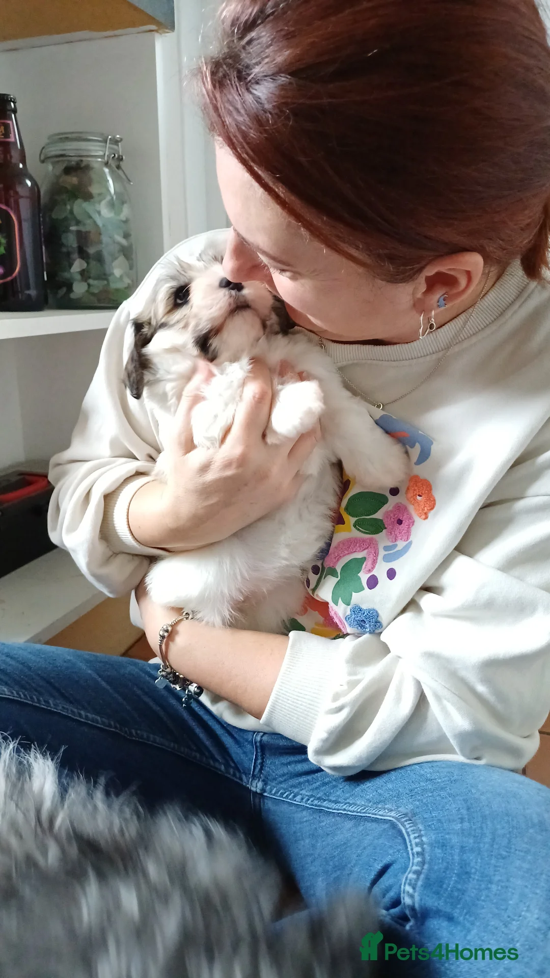 Gallery Image {{count}}