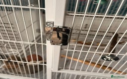 Cockatiels birds for sale: Two yaheetech cages for sale bargain! in Leeds - Image 2