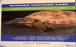 Tortoise reptiles for sale: 2 Female Russian/Horsefield Tortoises - Image 9