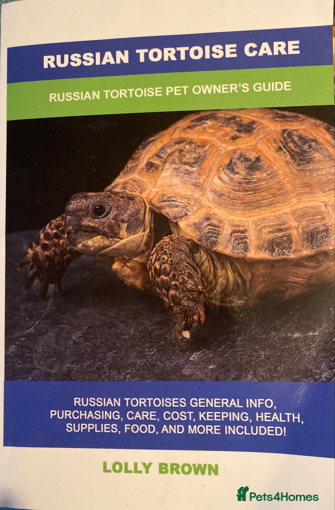 Tortoise reptiles for sale: 2 Female Russian/Horsefield Tortoises - Image 9