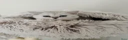 British Shorthair cats for sale: Beautiful British Shorthair× Scottish Fold Kittens - Advert 7