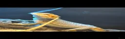Bearded Dragon reptiles for sale: Bearded Dragon AND FULL SETUP - Advert 5