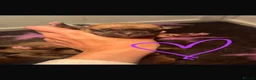 Staffordshire Bull Terrier dogs for sale: KC Reg Red Staffordshire Pups for Sale - Advert 6