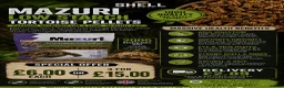 Tortoise reptiles for sale: BABY LEOPARDS & SET UPS - Advert 4