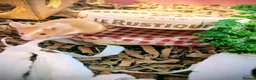 Mouse rodents for sale: Baby fancy mice - Advert 1