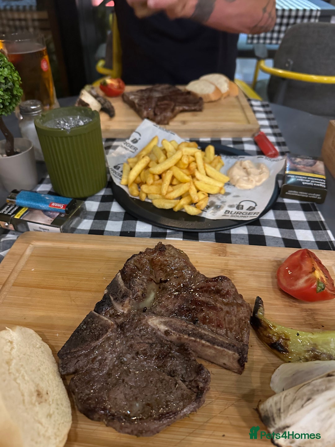 German Shepherd dogs for sale: Beautiful Blue and Black GSD puppies - Advert 14