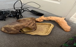 Mixed Breed reptiles for sale: Medium vivexotic vivarium & equipment. - Image 10