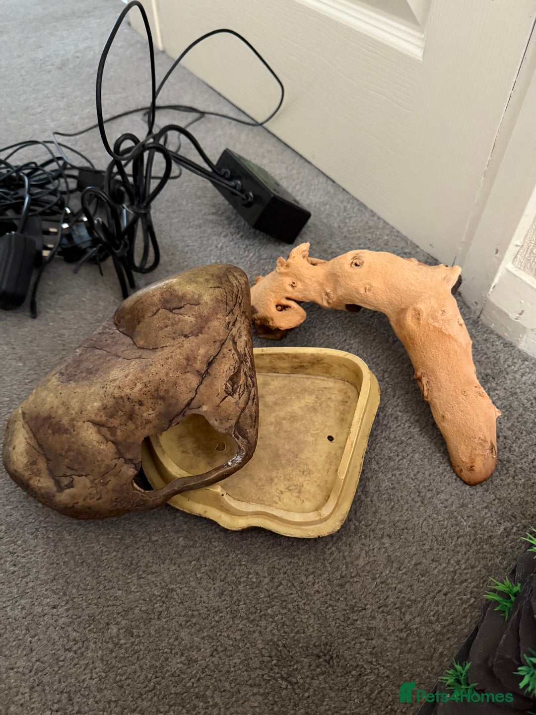 Mixed Breed reptiles for sale: Medium vivexotic vivarium & equipment. - Image 10