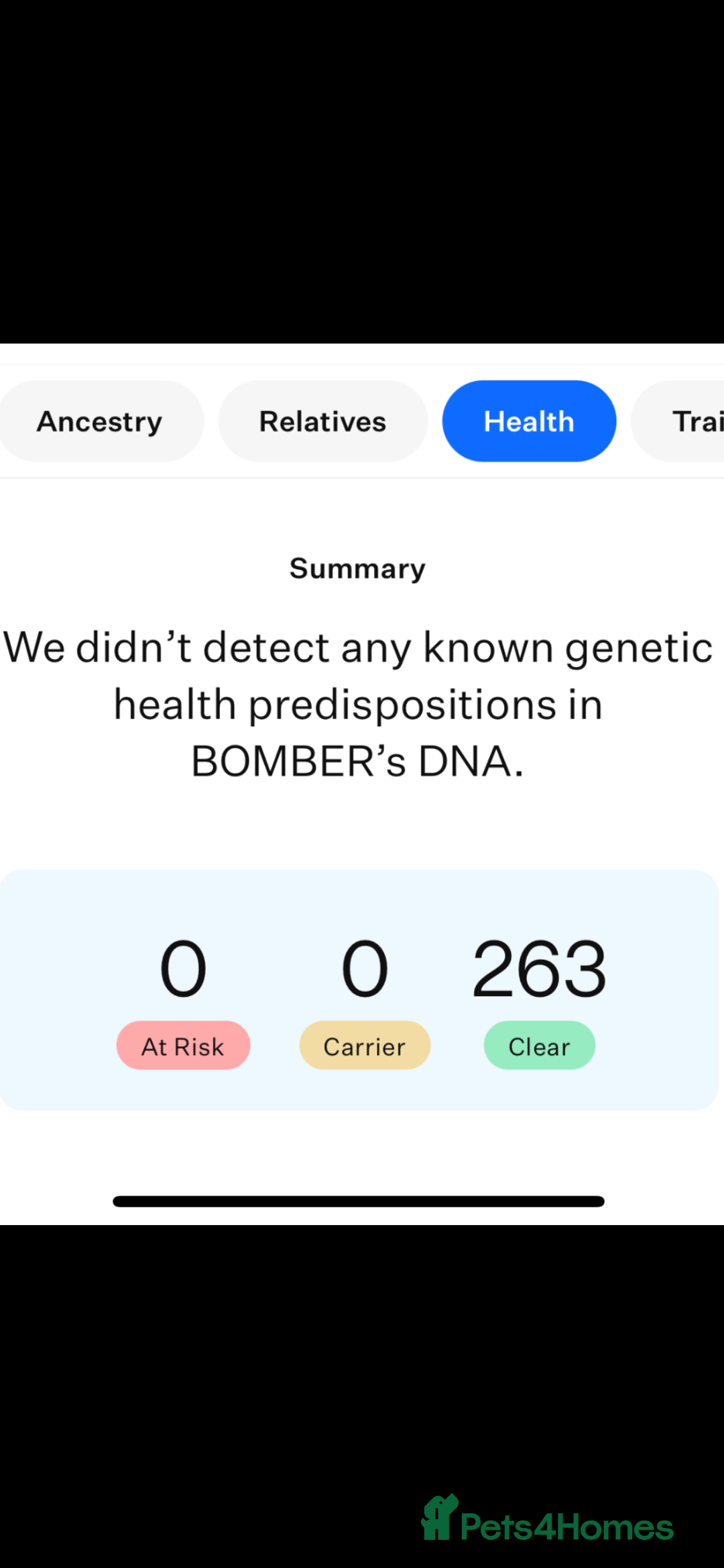 German Shepherd dogs for sale: KC REG. EQIDIUS IMPORT (SLOVAKIA)  - Advert 6