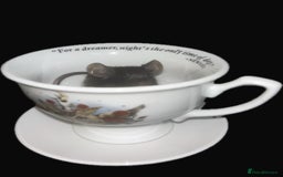 Mouse rodents for sale: Fancy mice 3 boys available  - Image 2