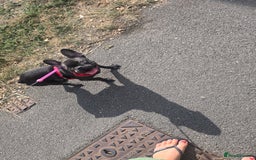 French Bulldog dogs for sale: Luna french bulldog 💖 - Image 4