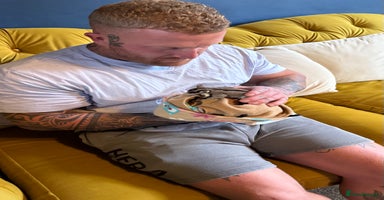 Sugar Glider rodents sugar gliders (breeding pair) - Advert 16