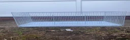 Mixed Breed birds for sale: Cage for sale ideal for small birds - Advert 1