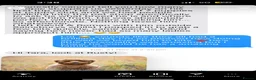 Australian Labradoodle dogs for sale: Multigenerational Australian Labradoodle puppies - Advert 18