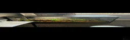 Python Snake reptiles for sale: Female ball python  in Pontefract - Advert 5