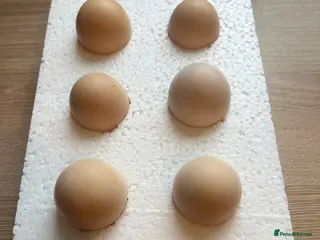 Chickens poultry for sale: Collection or Posted - Mixed Bantam HATCHING EGGS - Advert 2