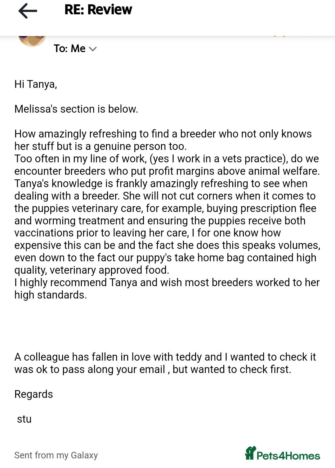 Cavapoo dogs for sale: Beautiful Cavapoo Puppies Available - Advert 9