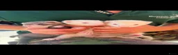 Ferret rodents for sale: Ferret kits for sale  in Bridgwater - Advert 5