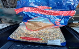 Macaws birds for sale: Blue & Gold Macaw For Sale - Image 9