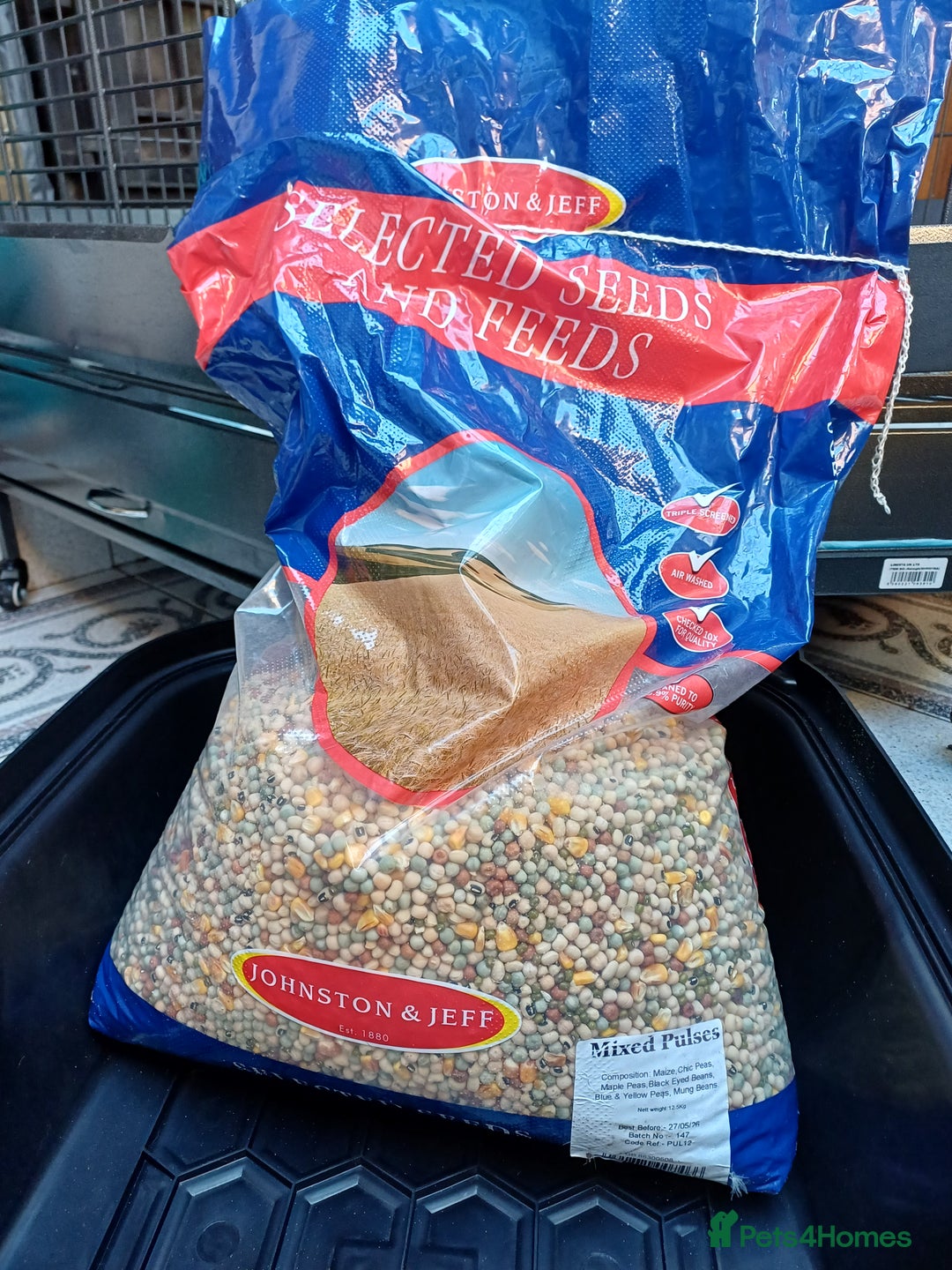 Macaws birds for sale: Blue & Gold Macaw For Sale - Image 9