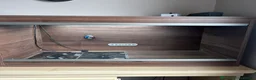 Leopard Gecko reptiles for sale: Leopard gecko and complete set up - Advert 4