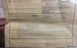 Hermann Tortoise reptiles for sale: Hermann’s with Full Setup (Certificate &Microchip) - Image 5