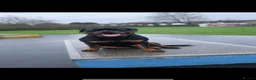 Rottweiler dogs for stud: 🔥 STUD AVAILABLE – BRUNO 🔥 in Hull - Advert 9