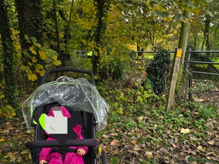 Sprocker dogs - Advert 2