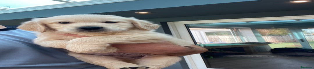 Boy 2