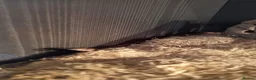 Corn Snake reptiles for sale: Corn snake for rehoming in Darlington - Advert 4