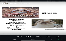 Mini Lion Lop rabbits for sale: Mini lops - Image 3