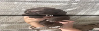 Cocker Spaniel 1