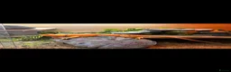 Bearded Dragon reptiles for sale: Reggie - Bearded Dragon  - Advert 3