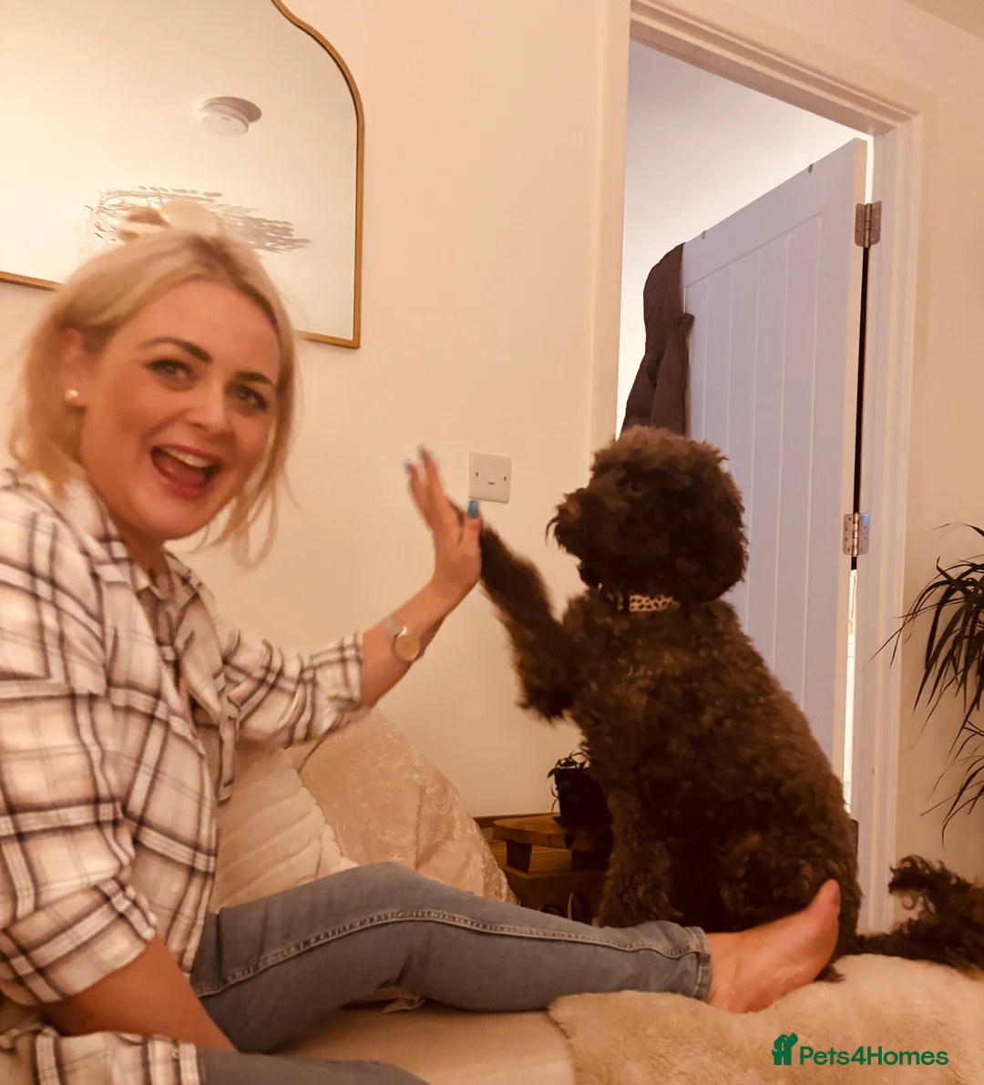 Gallery Image {{count}}