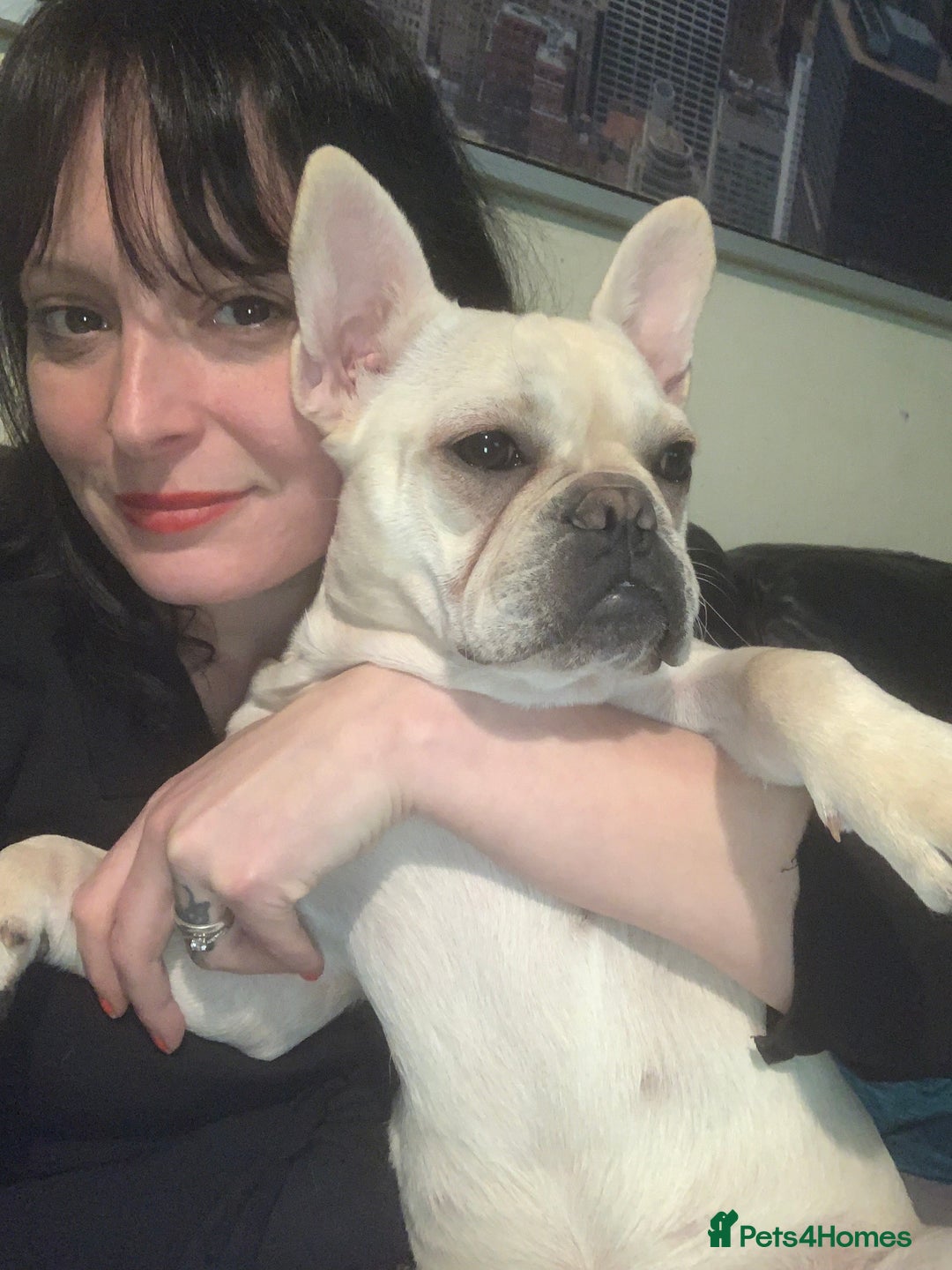 Gallery Image {{count}}