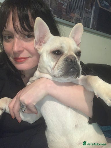 Gallery Image {{count}}