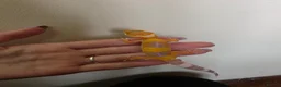 Leopard Gecko reptiles for sale: Baby leopard geckos - Advert 13