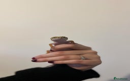 Leopard Gecko reptiles for sale: Leopard Gecko  - Image 3