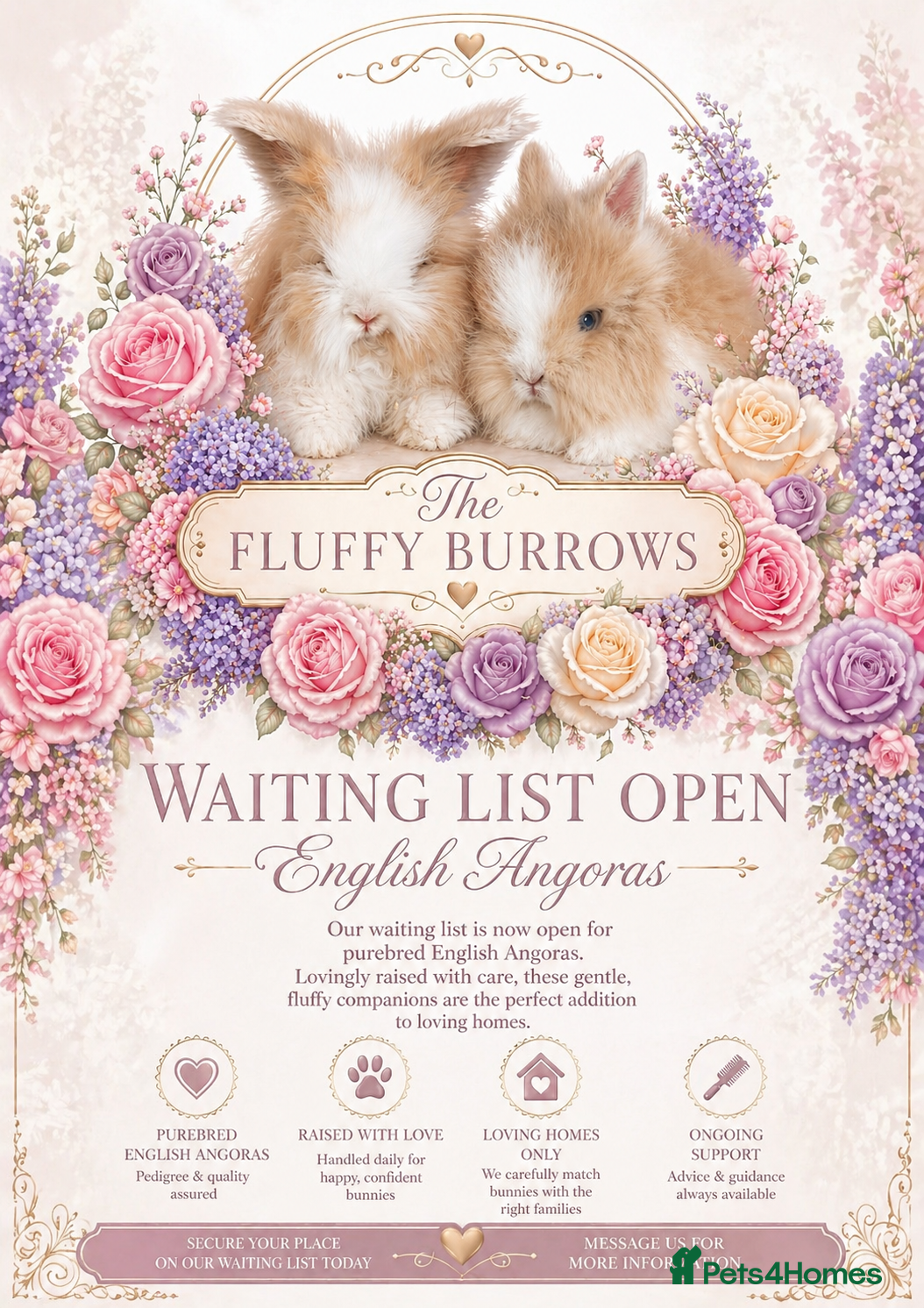 Angora rabbits 🌸 VACCINATED PEDIGREE ANGORAS 🌸  - Advert 9