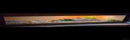 Bearded Dragon reptiles for sale: Male Bearded Dragon  in Wakefield - Advert 2