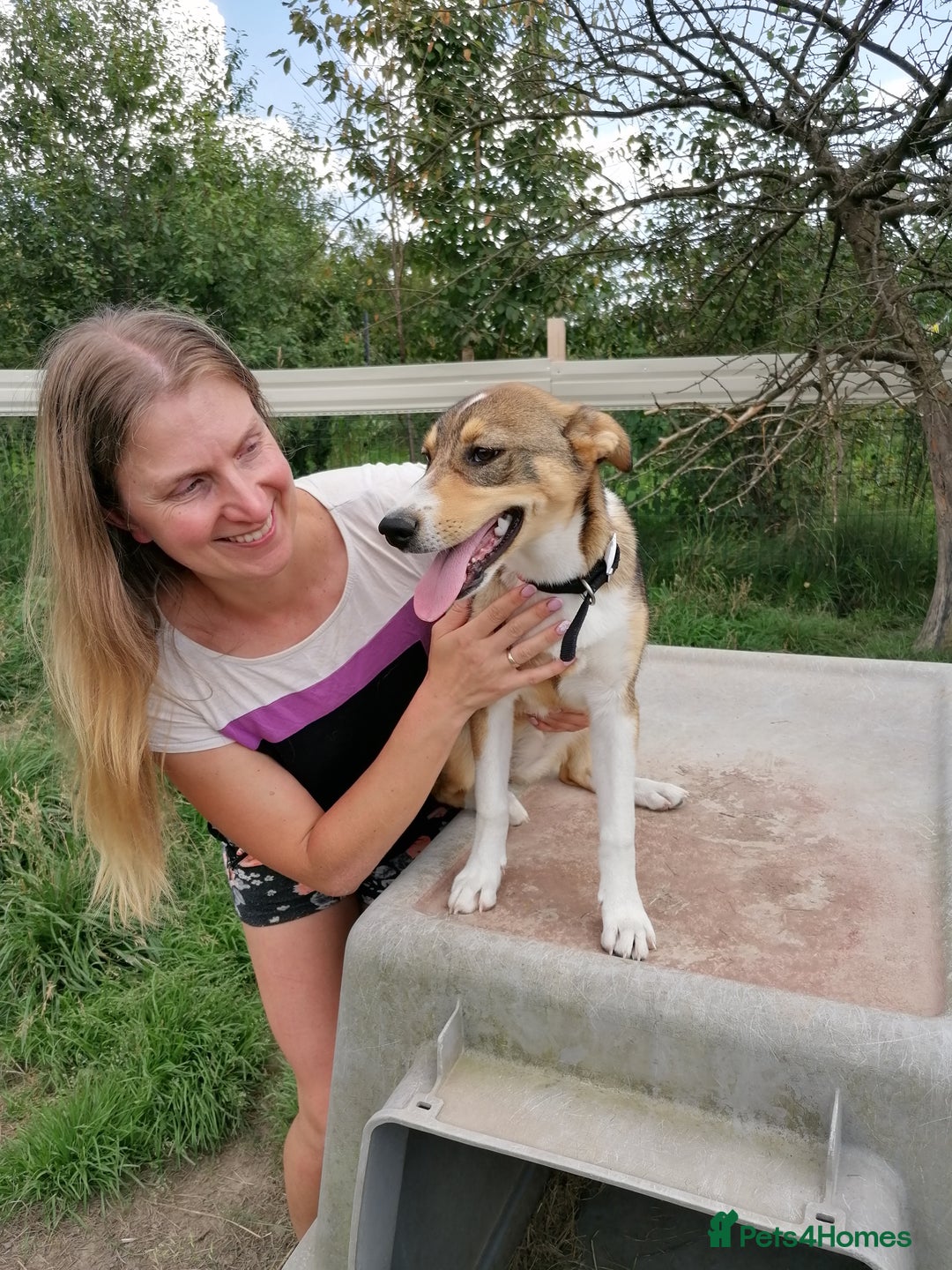 Mixed Breed dogs for adoption: 💖🐶 LISKA 🐶💖 - Image 4