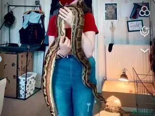 Boa Snake reptiles 6FT Boa + Full LARGE Setup - Advert 20