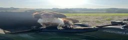 English Springer Spaniel dogs for stud: KC reg liver & white springer stud  - Advert 4