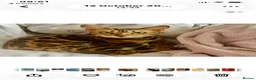 Bengal cats for sale: Half bengal kittens  - Advert 1