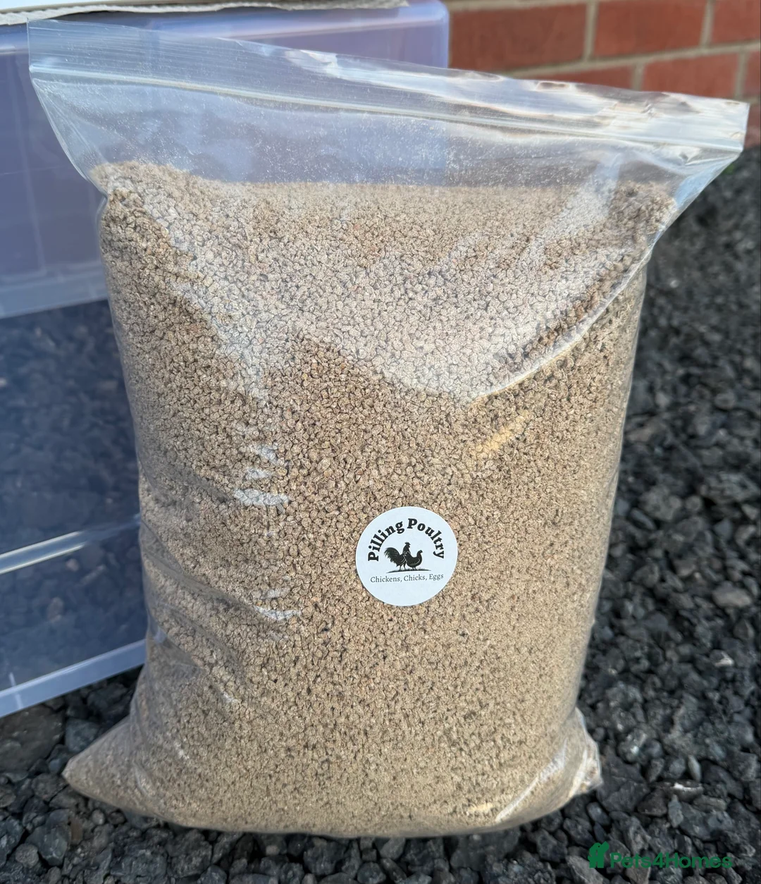 Mixed Breed poultry for sale: Chick Rearing Kit - Advert 6